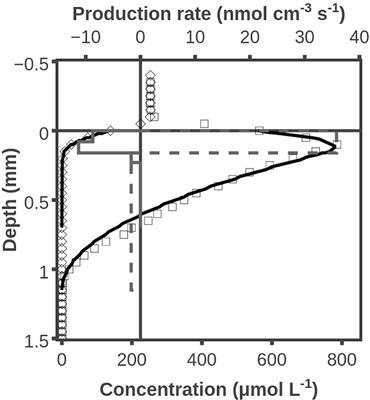 Hydrogen Dynamics in Cyanobacteria Dominated Microbial Mats Measured by Novel Combined H2/H2S and H2/O2 Microsensors